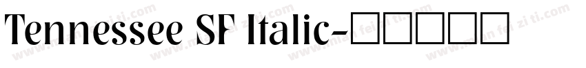 Tennessee SF Italic字体转换